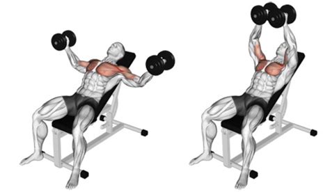 Man die dumbbell chest fly oefening uitvoert
