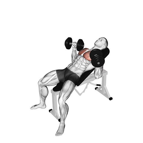 Man die incline dumbbell press oefening uitvoert