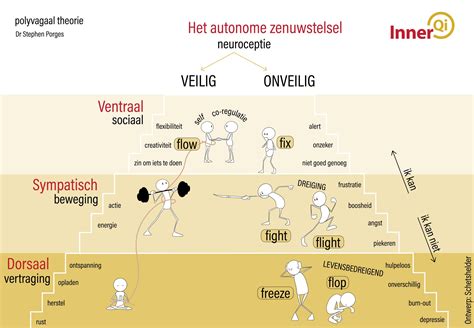 Visuele uitleg van viscerale vetopslag