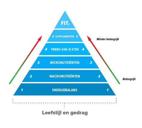 Visuele weergave van een gezond voedingspatroon