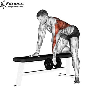 Illustratie van de One-Arm Dumbbell Row