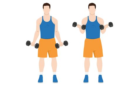 Man die bicep curls uitvoert met dumbbells