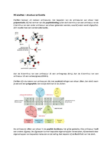 Diagram van aminozuren die eiwitten vormen