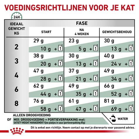 Voedingsschema voor katten met overgewicht