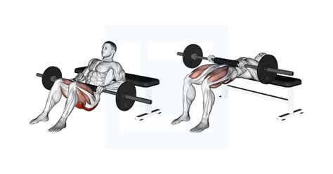 Afbeeldingen van verschillende hip thrust variaties (barbell, dumbbell, single-leg).