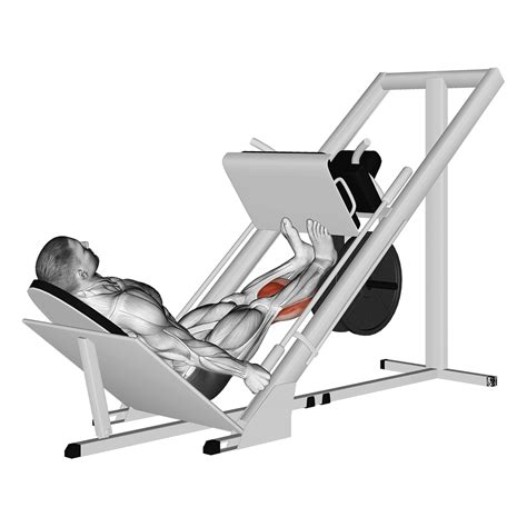 Veelvoorkomende fouten bij de leg press