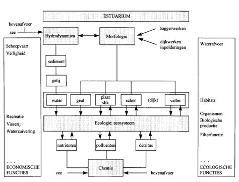 Schematische weergave van verschillende mindfulness houdingen