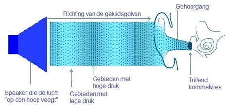 Diagram van oordopje met geluidsgolven die naar binnen komen