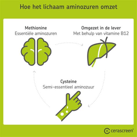 Voedingsmiddelen rijk aan essentiële aminozuren