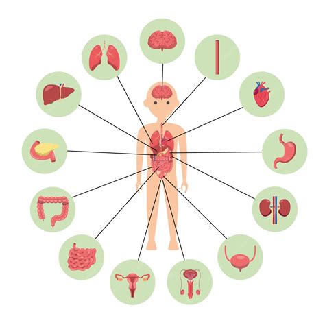 Diagram van het schouderimpingementsyndroom