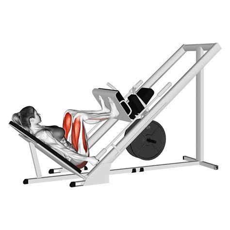 Schema van de leg press beweging met focus op kniehoek