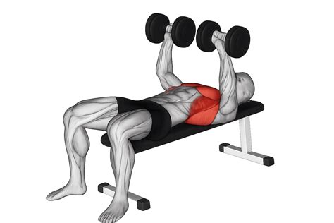 Verschillende borstoefeningen met dumbbells