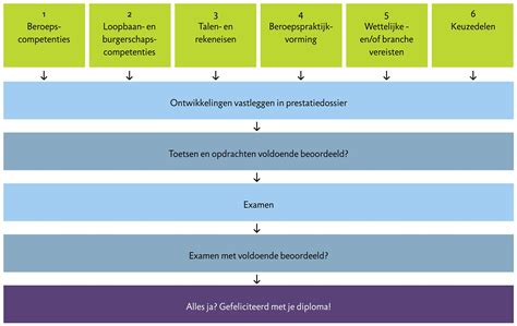 Schema met de onderdelen van een PT opleiding