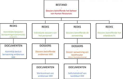 Overzicht van kinderopvangfaciliteiten in een sportclub