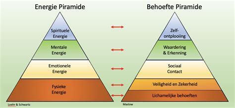 Diagram dat de balans tussen cultural fit en diversiteit weergeeft