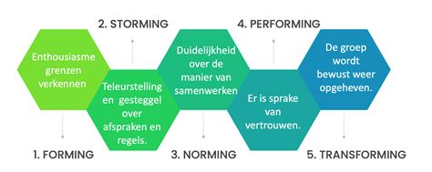 Schema met de verschillende stadia van een squat