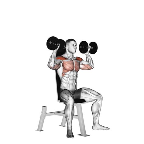 Dumbbell Shoulder Press Uitvoering