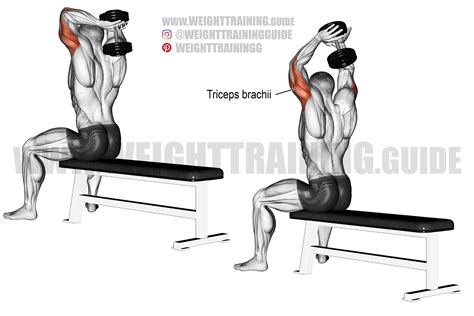 Overhead triceps extension met dumbbell