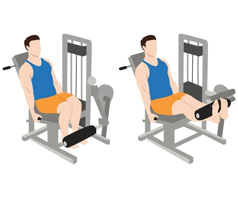 Correcte houding bij leg extensions