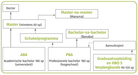 Schema met de verschillende niveaus van personal trainer opleidingen