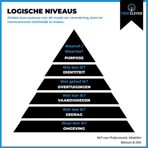 Schema met de verschillende niveaus van fitnesscertificering