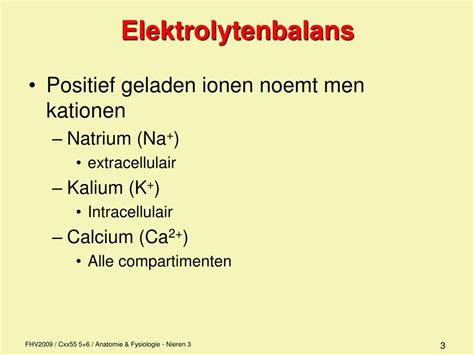 Elektrolytenbalans in het lichaam
