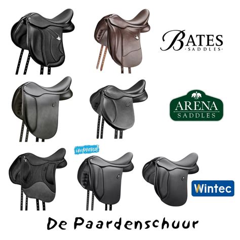 Illustratie van verschillende boommaten voor zadels