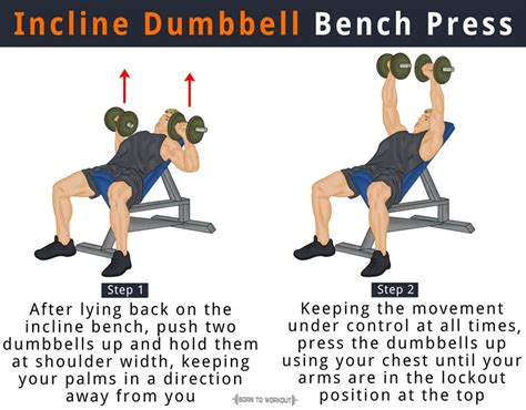 Diagram illustrating the proper form for an incline dumbbell press