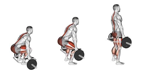 Anatomie van de deadlift