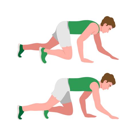 Bear crawl oefening