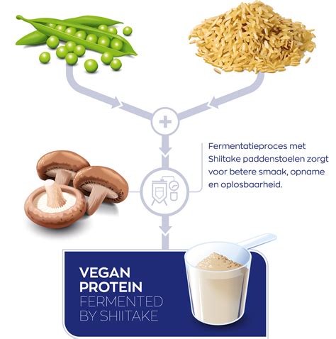 Vergelijking van whey proteïne en vegan proteïne
