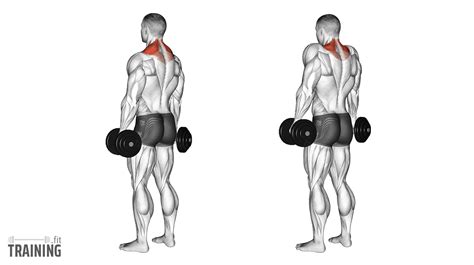 Barbell Shrugs oefening