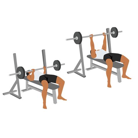 Illustratie van de bench press beweging