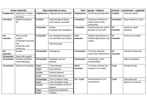 Overzicht van de SP-5-CSRTT en gedragsprotocollen