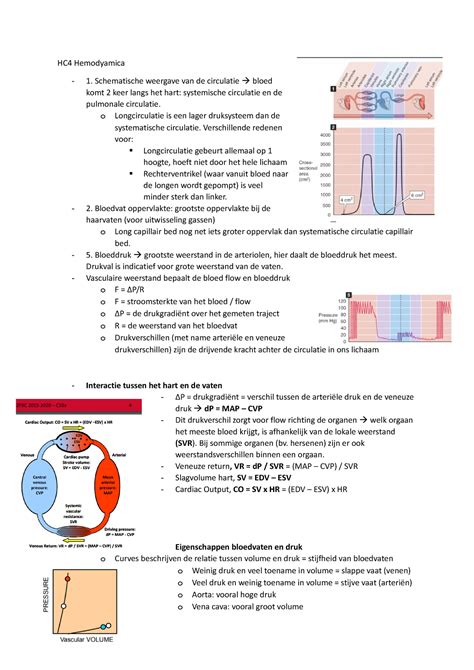 Schematische weergave van de experimentele opzet voor DREADD-receptor expressie