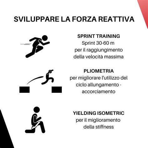 Schema che illustra la differenza tra forza massima e forza esplosiva