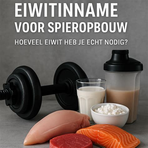 Infographic over de voordelen van eiwitten voor spieropbouw