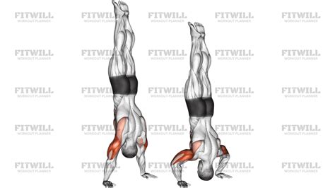 Meerdere fasen van de handstand push-up progressie