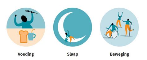 Schema met de vier pijlers van leefstijl: beweging, voeding, slaap, mentale balans