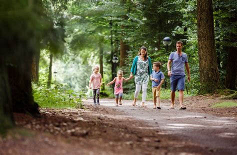 Mensen die samen wandelen in een park