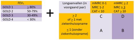 Schema van de GOLD classificatie voor COPD