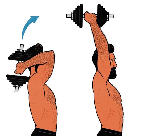 Grafische weergave van correcte en incorrecte ellebooghouding bij triceps extensions