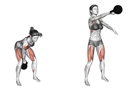 Anatomie van de kettlebell swing oefening