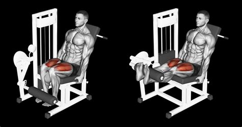 Correcte houding bij leg extension machine