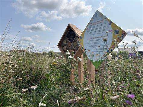 Vogelpad met informatieborden