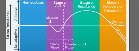 Grafiek die het effect van stress op eetgedrag toont