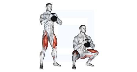 Dumbbell Goblet Squat techniek
