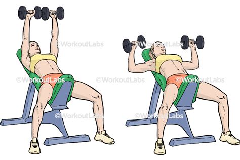 Grafische weergave van de juiste techniek van de incline dumbbell press