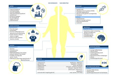 Infographic over de oorzaken en gevolgen van obesitas