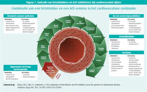 Infographic over de werking van bètablokkers
